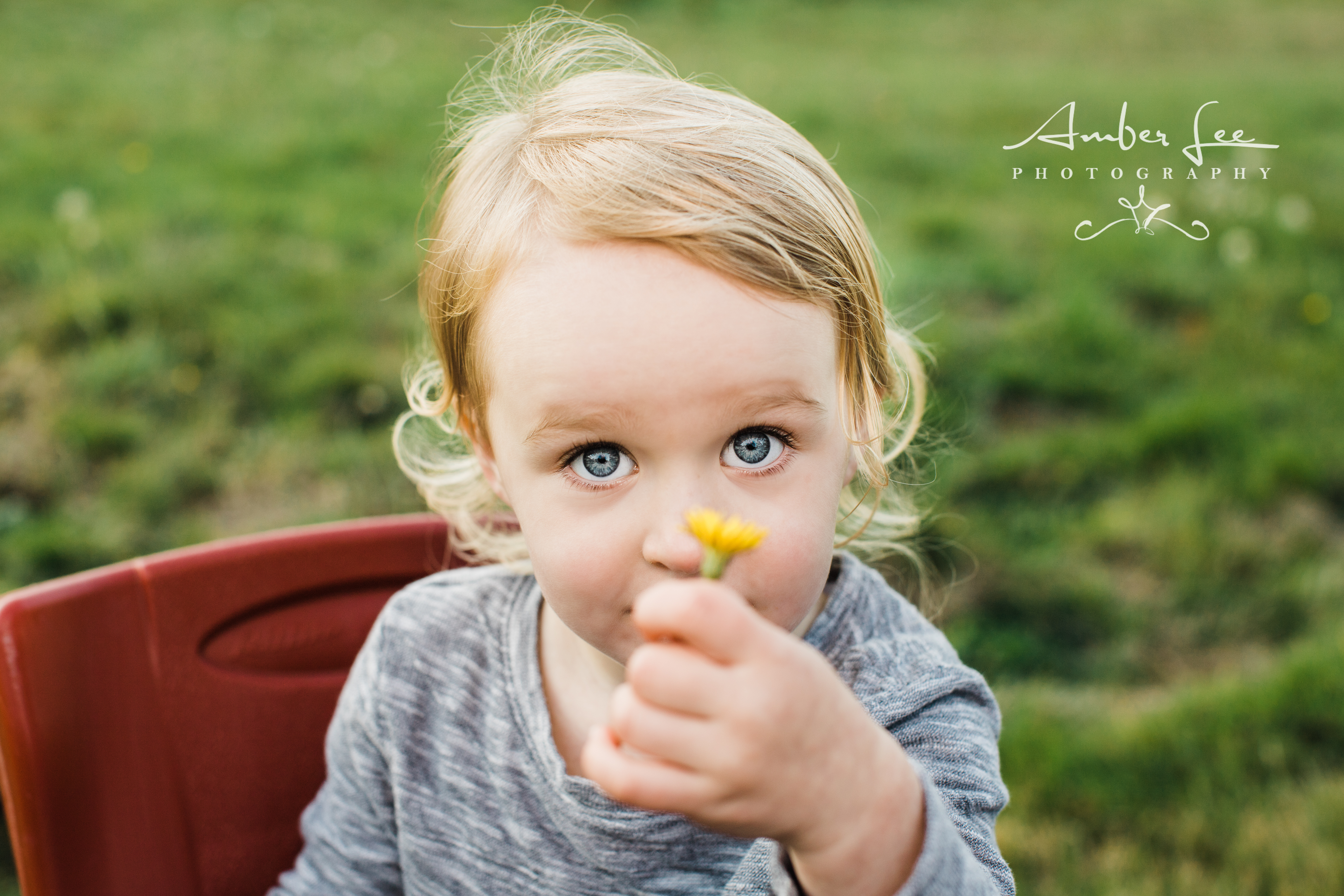 Meet the McFalls~Carnation Photographer