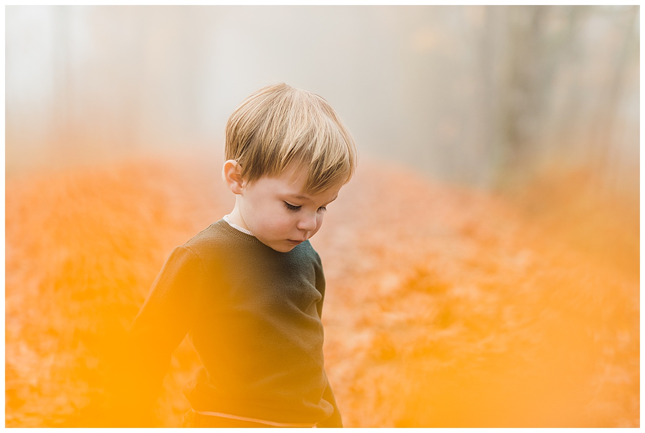 Randall-Gay~McCormick Park, Duvall