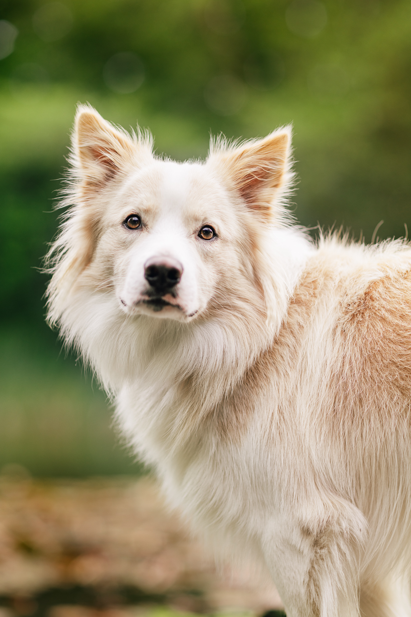 Alise & Barney~Red Rock Farm